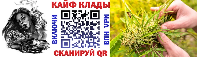 Лсд 25 Сурск