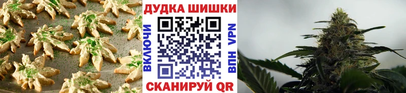 закладки  Сурск  Canna-Cookies марихуана 